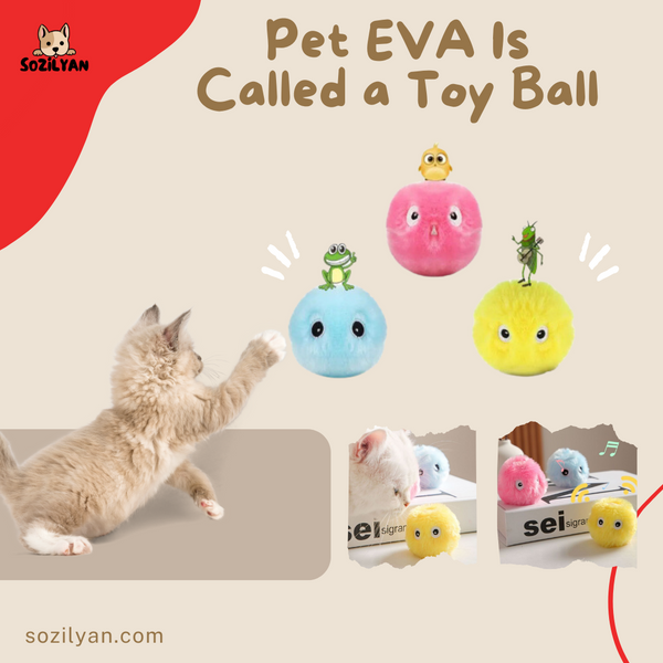 Pet EVA Is Called a Toy Ball